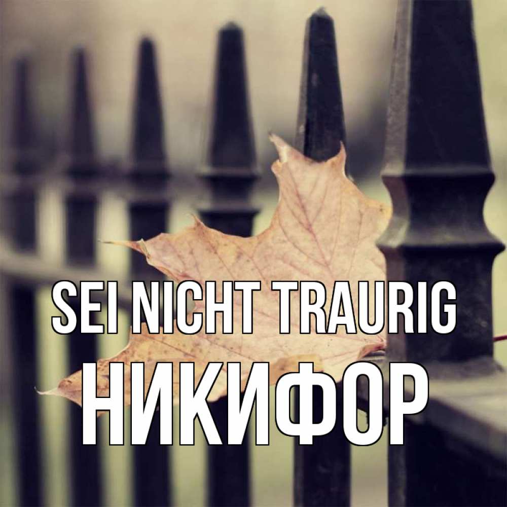 Открытка на каждый день с именем, Никифор Sei nicht traurig лист клена Прикольная открытка с пожеланием онлайн скачать бесплатно 