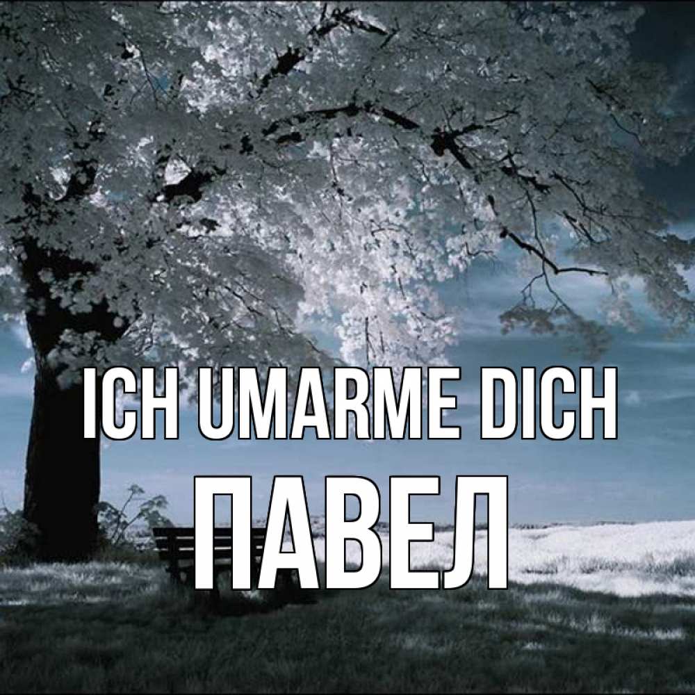 Открытка на каждый день с именем, Павел Ich umarme dich дерево Прикольная открытка с пожеланием онлайн скачать бесплатно 