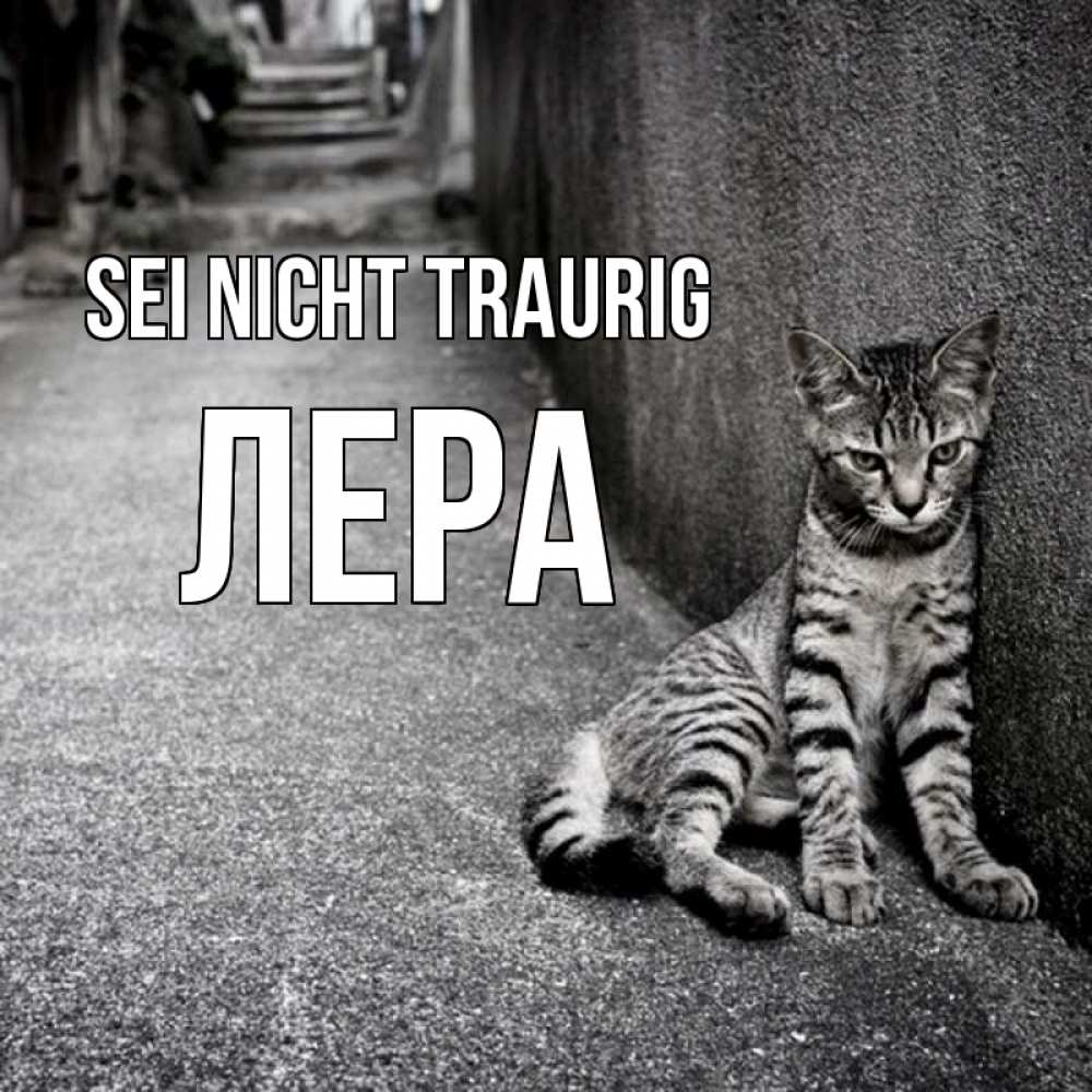 Открытка на каждый день с именем, Лера Sei nicht traurig скучающий котик Прикольная открытка с пожеланием онлайн скачать бесплатно 