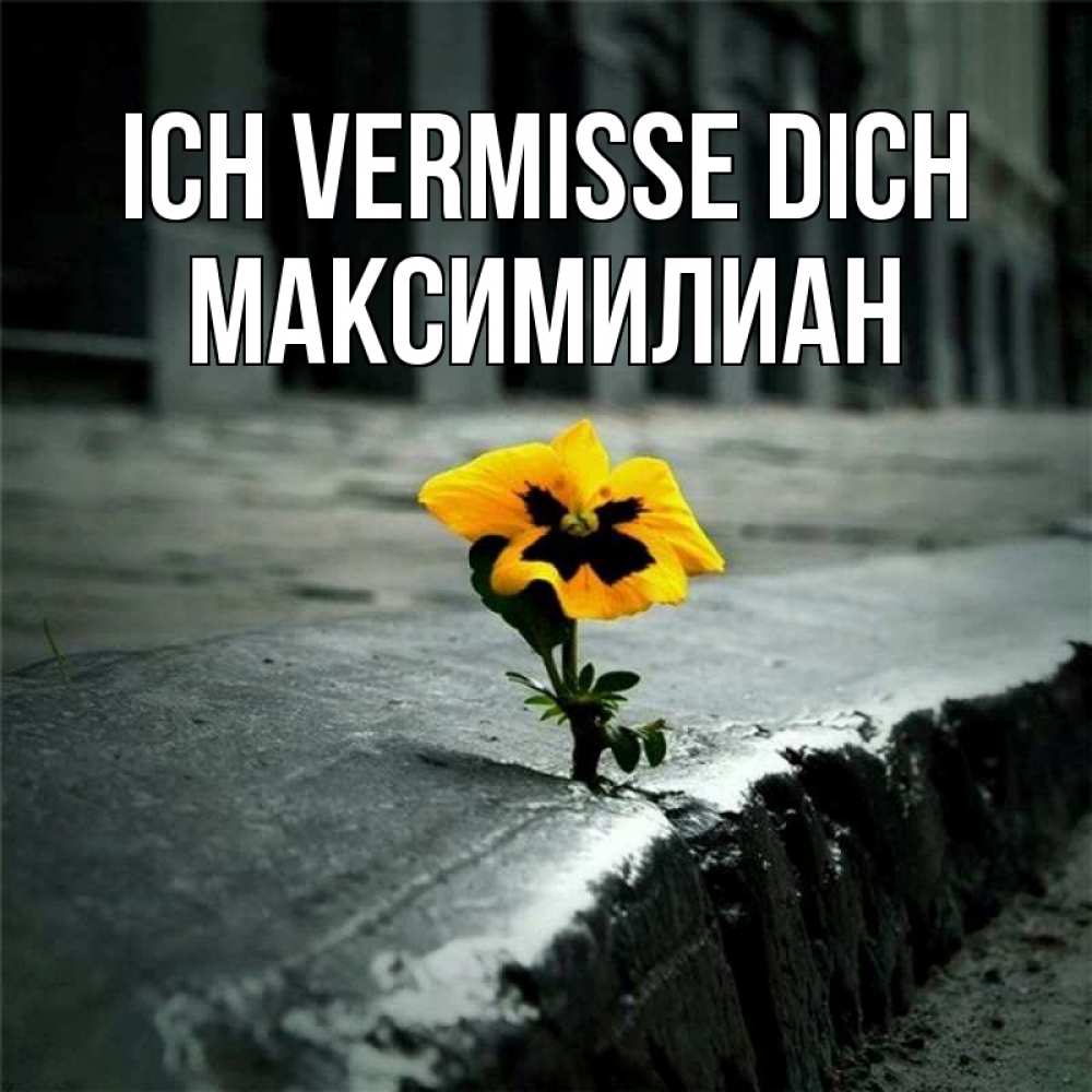 Открытка на каждый день с именем, Максимилиан Ich vermisse dich надеюсь будет лучше Прикольная открытка с пожеланием онлайн скачать бесплатно 