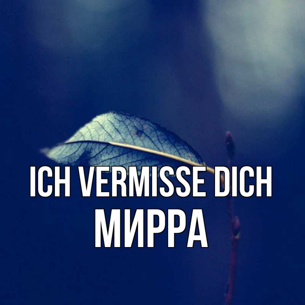 Открытка на каждый день с именем, Мирра Ich vermisse dich одна ветка 1 Прикольная открытка с пожеланием онлайн скачать бесплатно 