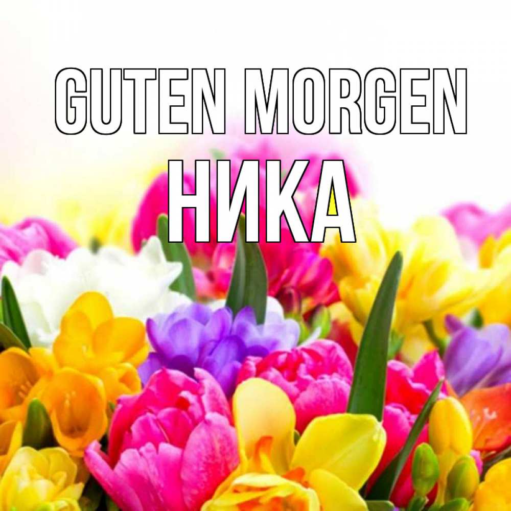 Открытка на каждый день с именем, Ника Guten Morgen создать открытку со свое подписью Прикольная открытка с пожеланием онлайн скачать бесплатно 