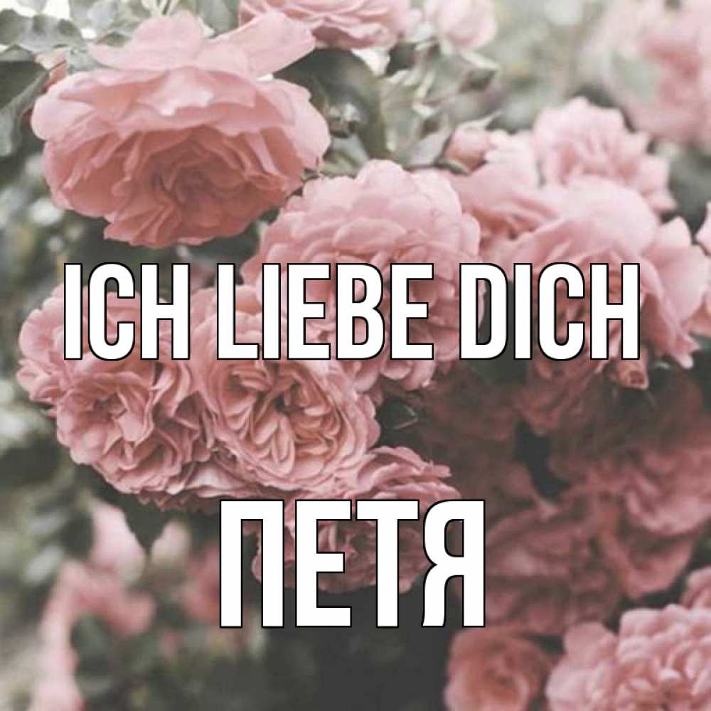 Открытка на каждый день с именем, Петя Ich liebe dich розы 3 Прикольная открытка с пожеланием онлайн скачать бесплатно 
