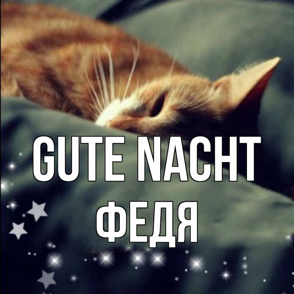 Открытка на каждый день с именем, Федя Gute Nacht кроватка Прикольная открытка с пожеланием онлайн скачать бесплатно 