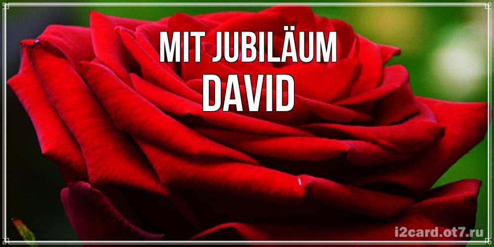 Открытка на каждый день с именем, David Mit Jubiläum розочка очень красивая Прикольная открытка с пожеланием онлайн скачать бесплатно 