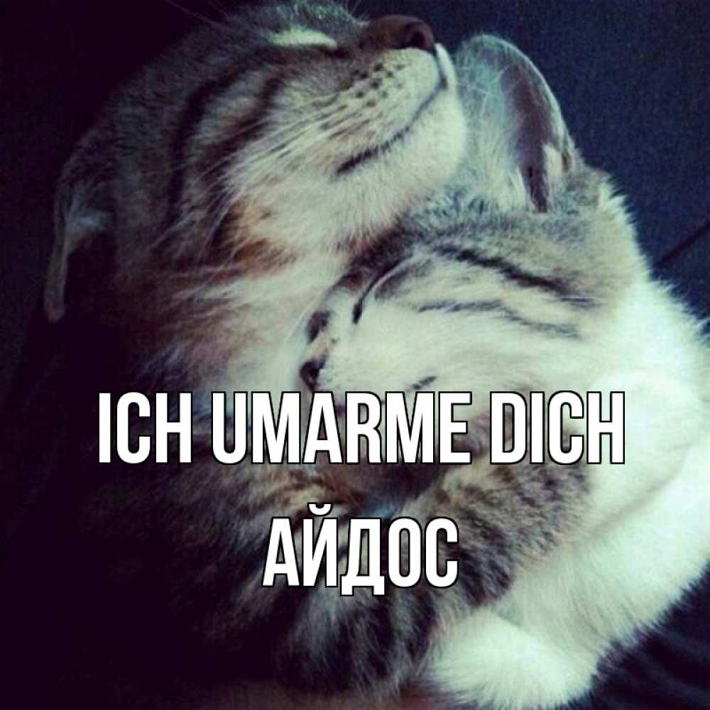 Открытка на каждый день с именем, Айдос Ich umarme dich полосатики Прикольная открытка с пожеланием онлайн скачать бесплатно 