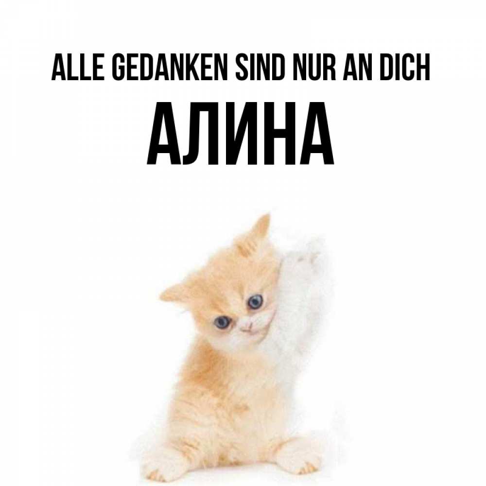 Открытка на каждый день с именем, Алина Alle Gedanken sind nur an dich зверушки и милота Прикольная открытка с пожеланием онлайн скачать бесплатно 