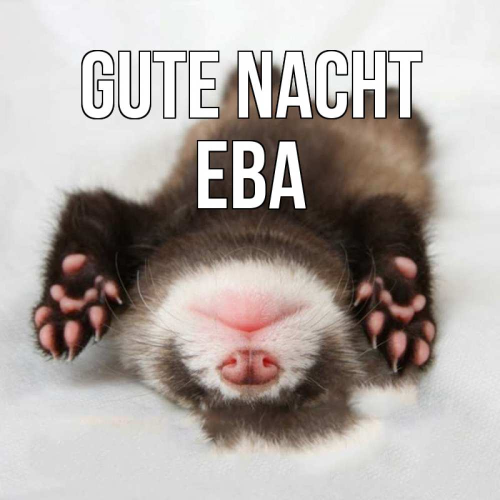 Открытка на каждый день с именем, Ева Gute Nacht зверек Прикольная открытка с пожеланием онлайн скачать бесплатно 