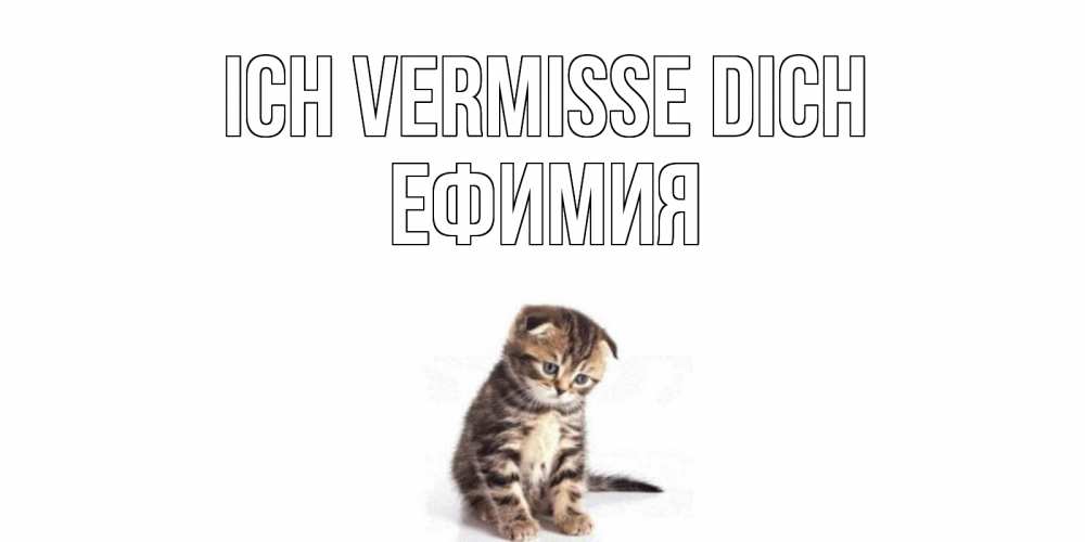 Открытка на каждый день с именем, Ефимия Ich vermisse dich кот Прикольная открытка с пожеланием онлайн скачать бесплатно 