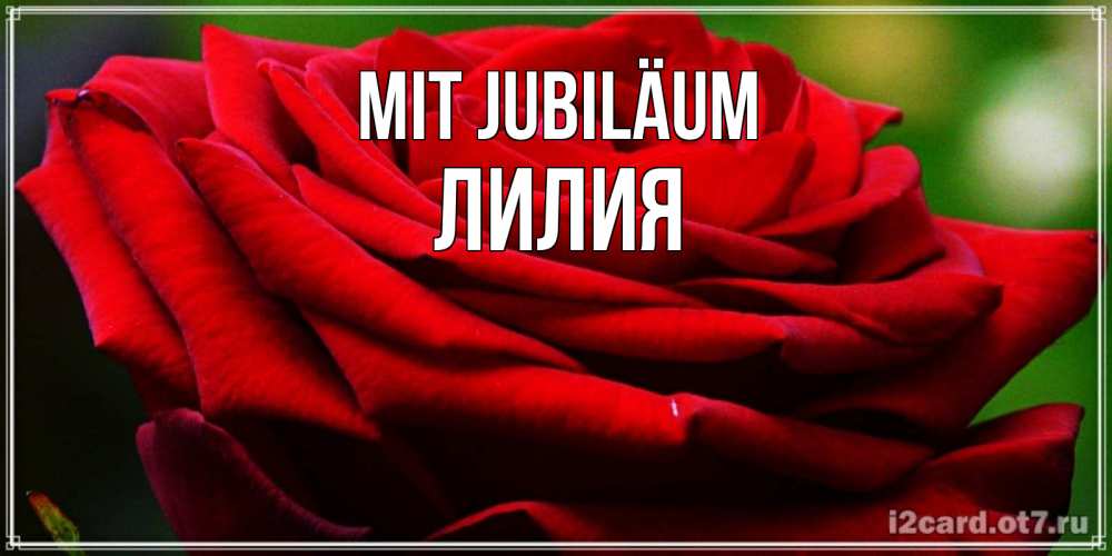 Открытка на каждый день с именем, Лилия Mit Jubiläum розочка очень красивая Прикольная открытка с пожеланием онлайн скачать бесплатно 
