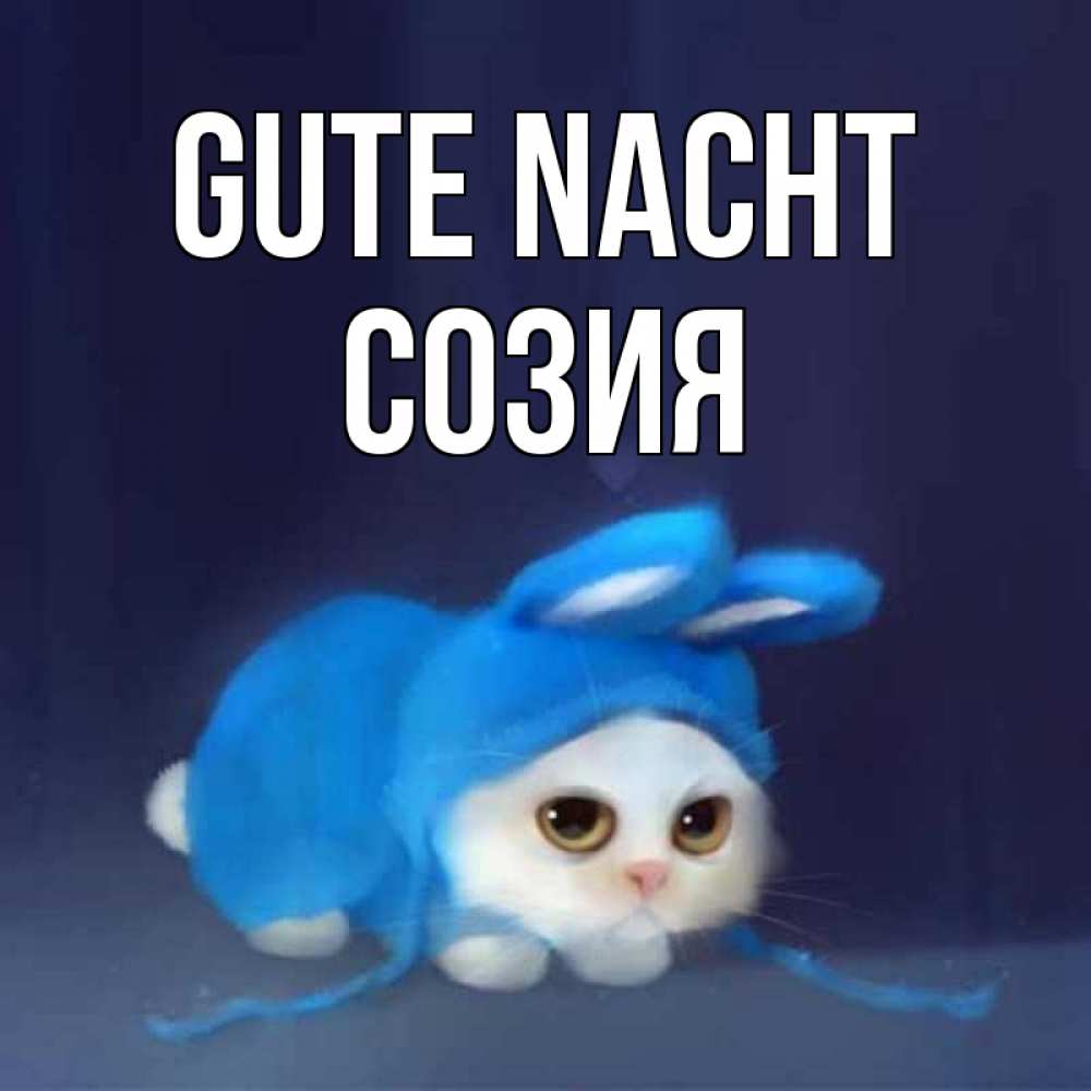 Открытка на каждый день с именем, Созия Gute Nacht кот в голубом костюме кролика с ушками Прикольная открытка с пожеланием онлайн скачать бесплатно 