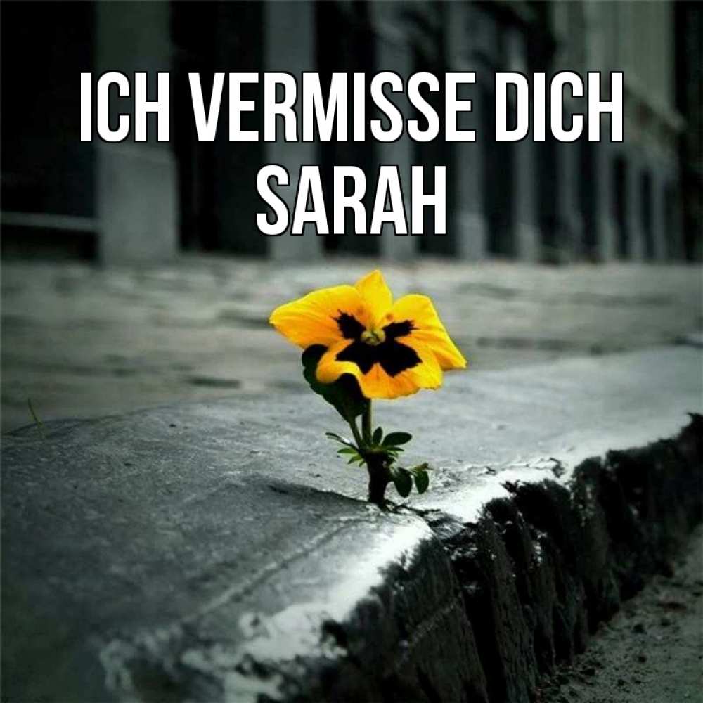 Открытка на каждый день с именем, Sarah Ich vermisse dich надеюсь будет лучше Прикольная открытка с пожеланием онлайн скачать бесплатно 