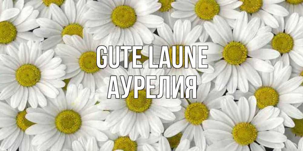 Открытка на каждый день с именем, Аурелия Gute Laune поляна ромашек Прикольная открытка с пожеланием онлайн скачать бесплатно 