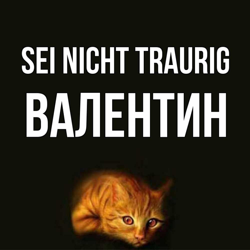 Открытка на каждый день с именем, Валентин Sei nicht traurig лежащий кот в темноте Прикольная открытка с пожеланием онлайн скачать бесплатно 