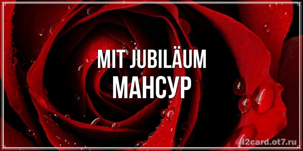 Открытка на каждый день с именем, Мансур Mit Jubiläum крупная бордовая роза Прикольная открытка с пожеланием онлайн скачать бесплатно 