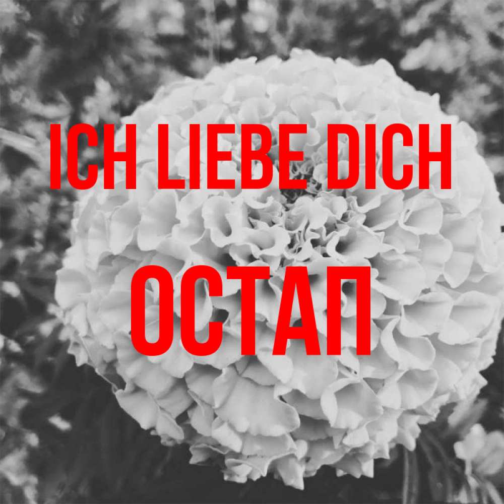 Открытка на каждый день с именем, Остап Ich liebe dich подпись Прикольная открытка с пожеланием онлайн скачать бесплатно 