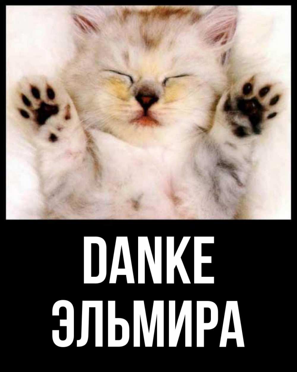 Открытка на каждый день с именем, Эльмира Danke маленький котенок Прикольная открытка с пожеланием онлайн скачать бесплатно 