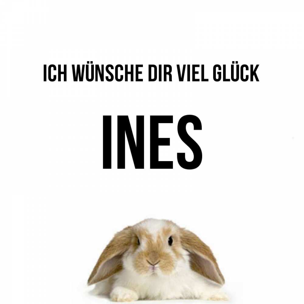 Открытка на каждый день с именем, Ines Ich wünsche dir viel Glück открытки с произвольным текстом который можно вставить в открытку и создать ее самостоятельно бесплатно онлайн Прикольная открытка с пожеланием онлайн скачать бесплатно 