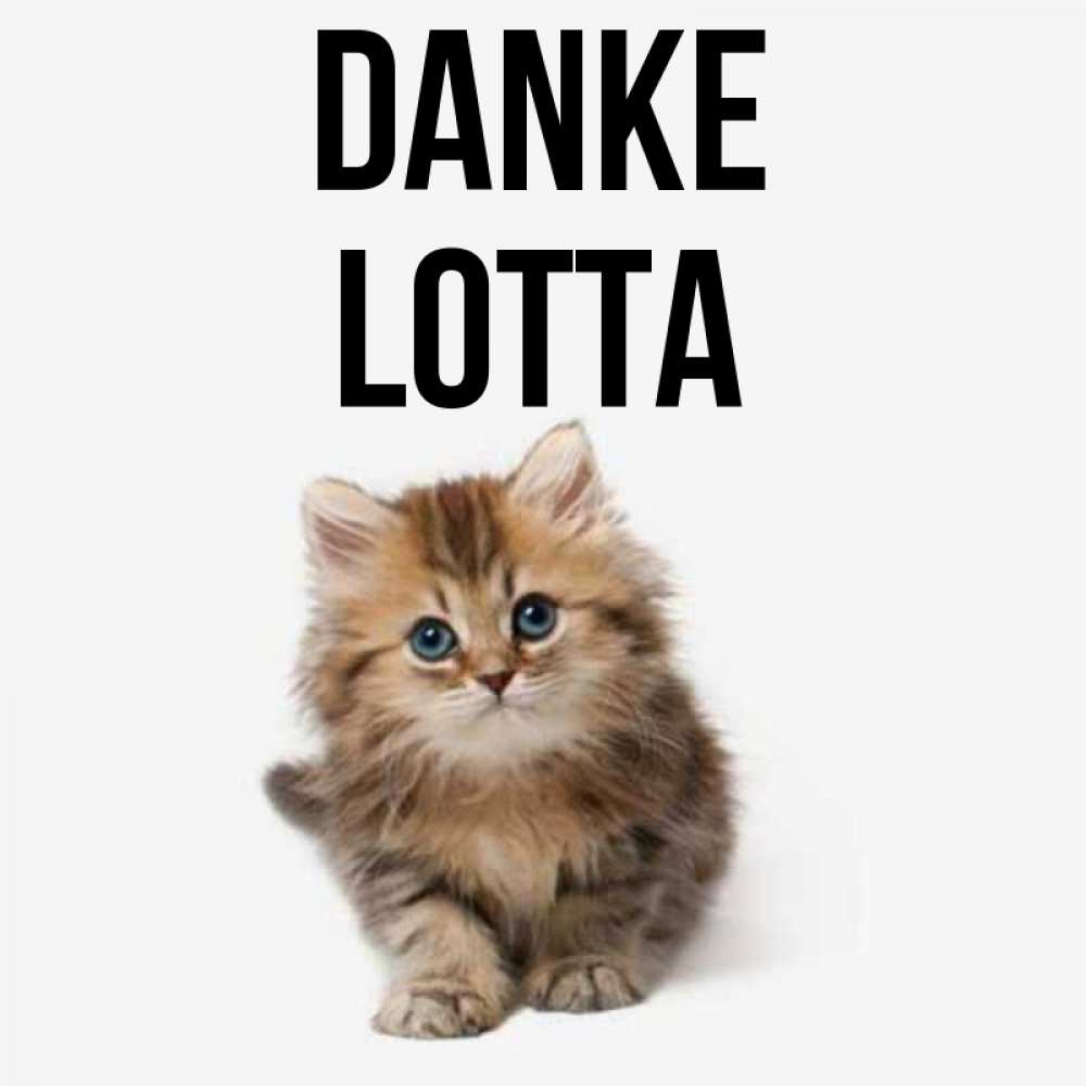 Открытка на каждый день с именем, Lotta Danke пушистый котик Прикольная открытка с пожеланием онлайн скачать бесплатно 