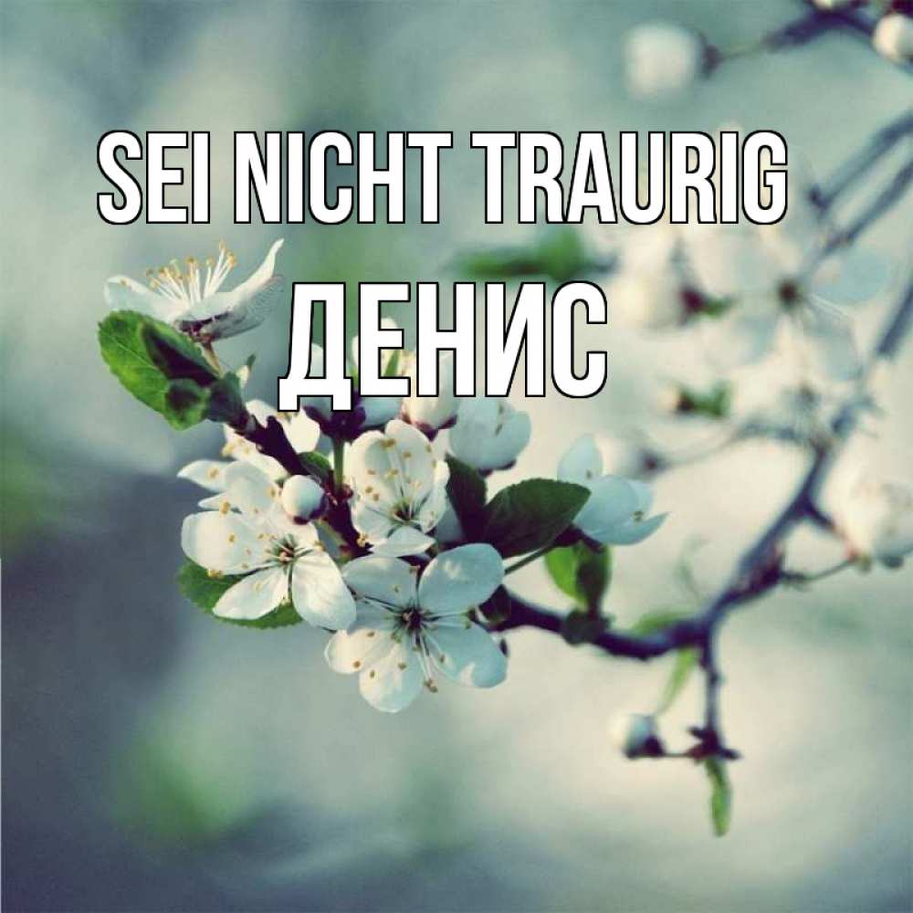 Открытка на каждый день с именем, Денис Sei nicht traurig яблоня в цвету 1 Прикольная открытка с пожеланием онлайн скачать бесплатно 