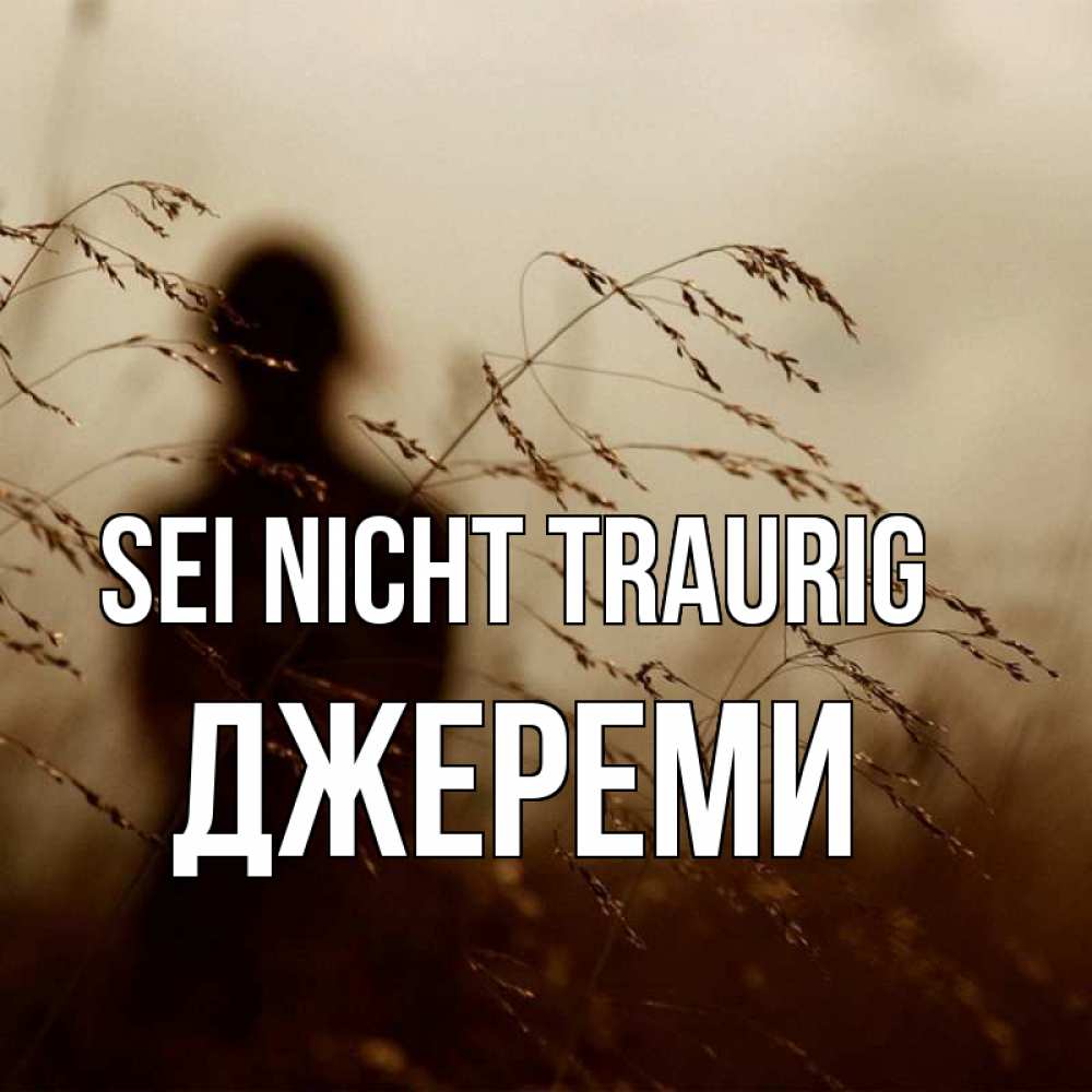 Открытка на каждый день с именем, Джереми Sei nicht traurig грусть Прикольная открытка с пожеланием онлайн скачать бесплатно 