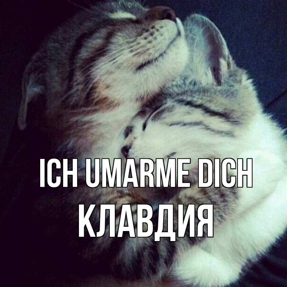 Открытка на каждый день с именем, Клавдия Ich umarme dich полосатики Прикольная открытка с пожеланием онлайн скачать бесплатно 