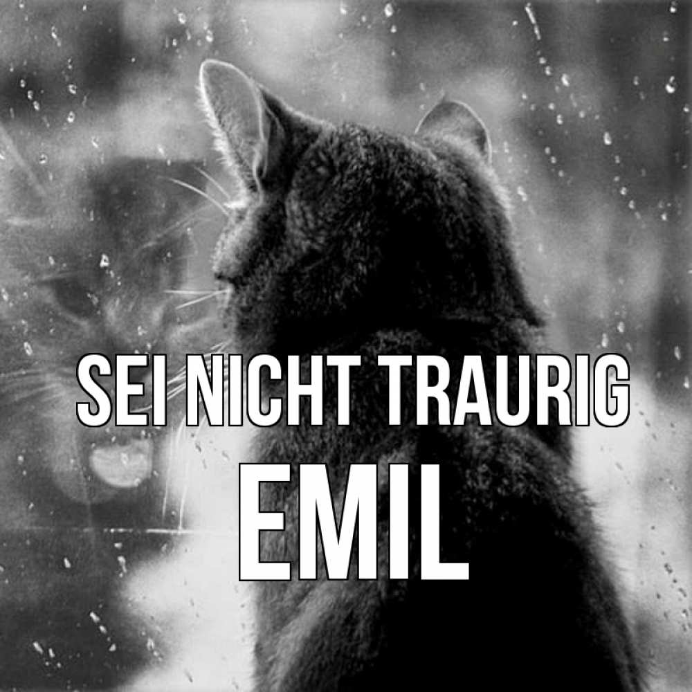 Открытка на каждый день с именем, Emil Sei nicht traurig отражение кота 1 Прикольная открытка с пожеланием онлайн скачать бесплатно 