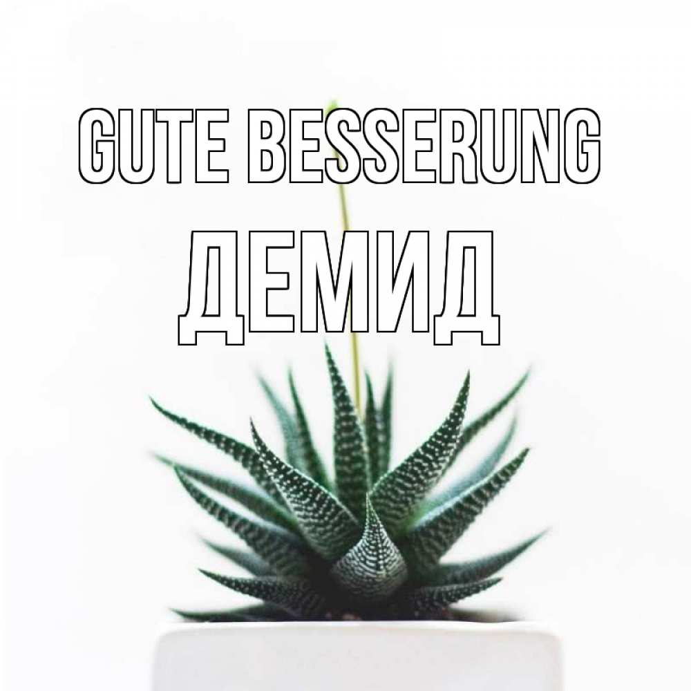 Открытка на каждый день с именем, Демид Gute Besserung короче это непонятная колючка Прикольная открытка с пожеланием онлайн скачать бесплатно 