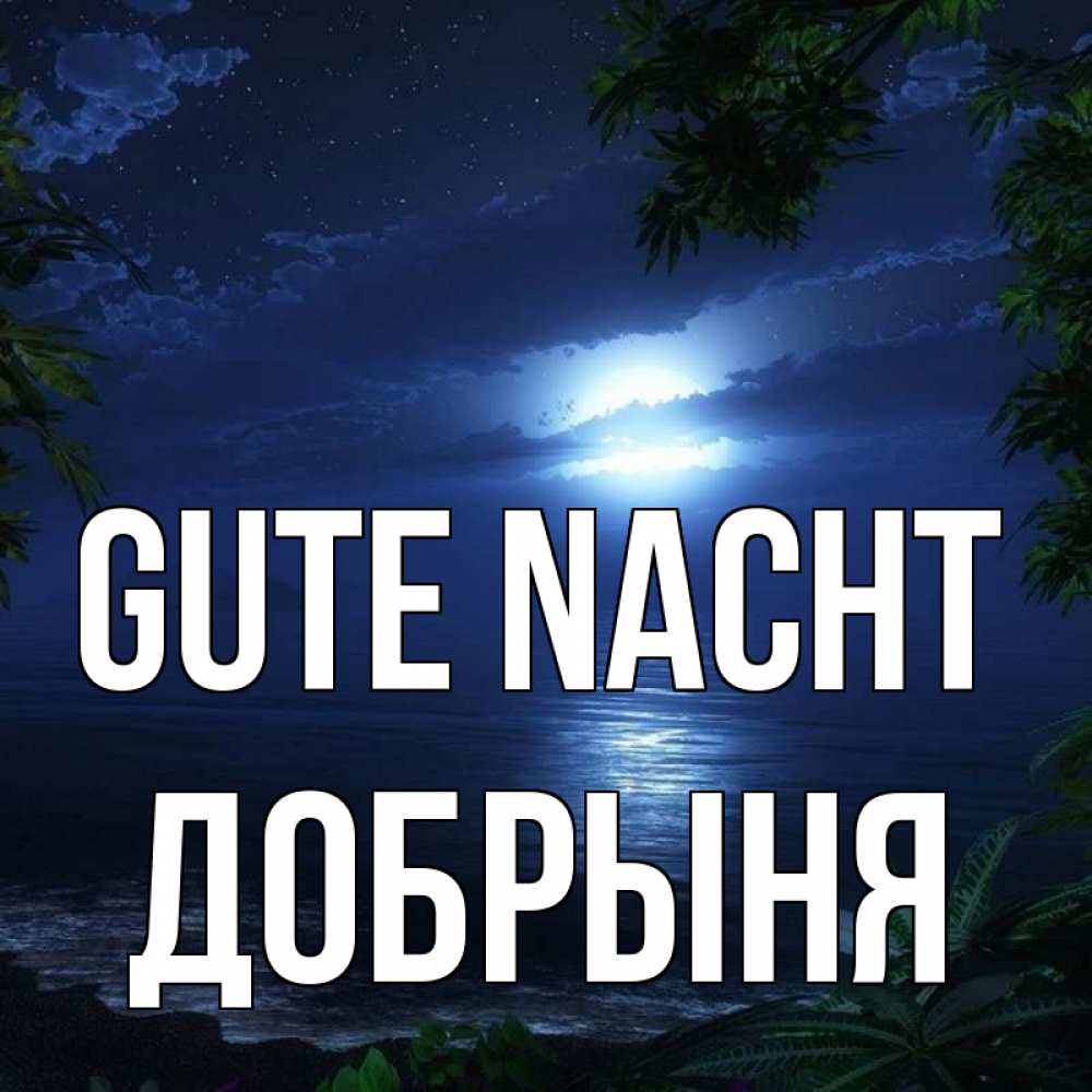 Открытка на каждый день с именем, Добрыня Gute Nacht тропический остров Прикольная открытка с пожеланием онлайн скачать бесплатно 
