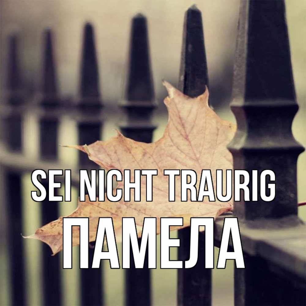 Открытка на каждый день с именем, Памела Sei nicht traurig лист клена Прикольная открытка с пожеланием онлайн скачать бесплатно 