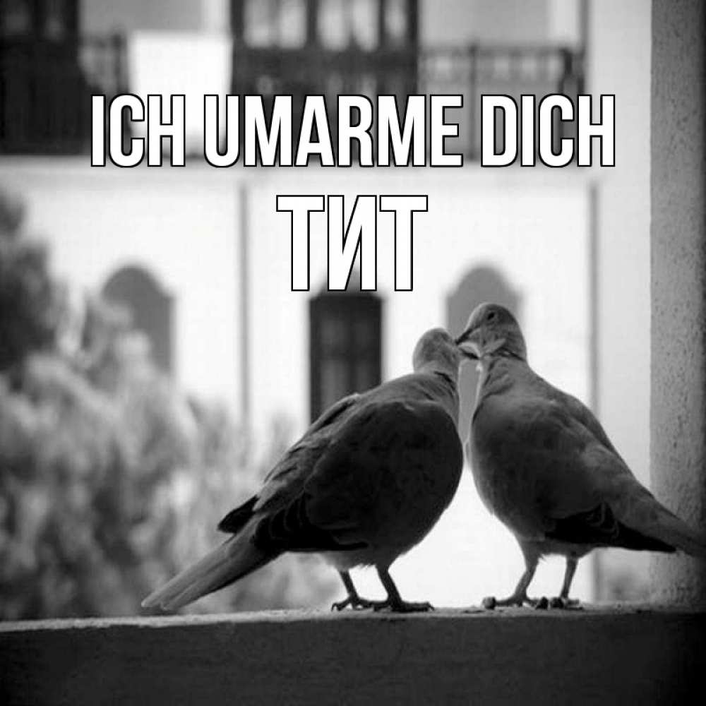 Открытка на каждый день с именем, Тит Ich umarme dich птицы на подоконнике Прикольная открытка с пожеланием онлайн скачать бесплатно 