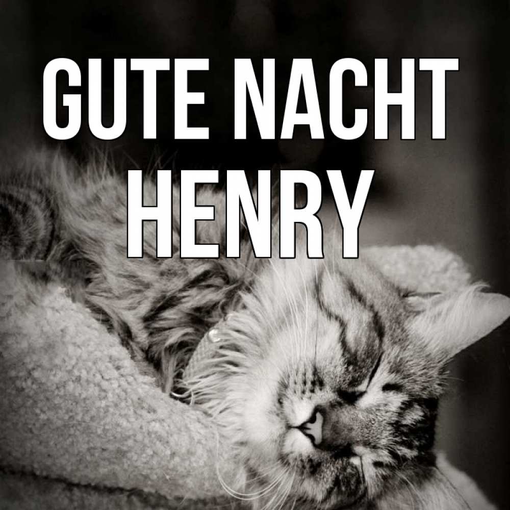 Открытка на каждый день с именем, Henry Gute Nacht котярик пушистый Прикольная открытка с пожеланием онлайн скачать бесплатно 