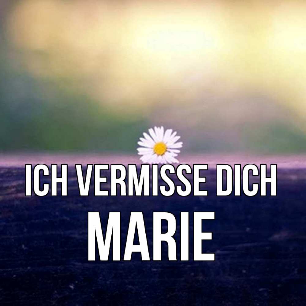 Открытка на каждый день с именем, Marie Ich vermisse dich приходи в гости Прикольная открытка с пожеланием онлайн скачать бесплатно 