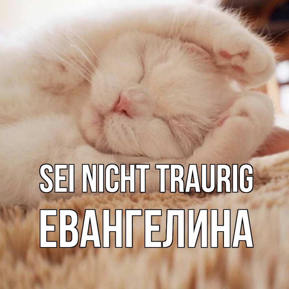 Открытка на каждый день с именем, Евангелина Sei nicht traurig белый кот Прикольная открытка с пожеланием онлайн скачать бесплатно 