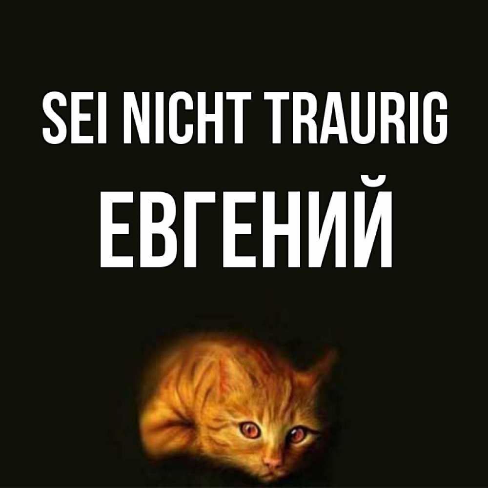 Открытка на каждый день с именем, Евгений Sei nicht traurig лежащий кот в темноте Прикольная открытка с пожеланием онлайн скачать бесплатно 