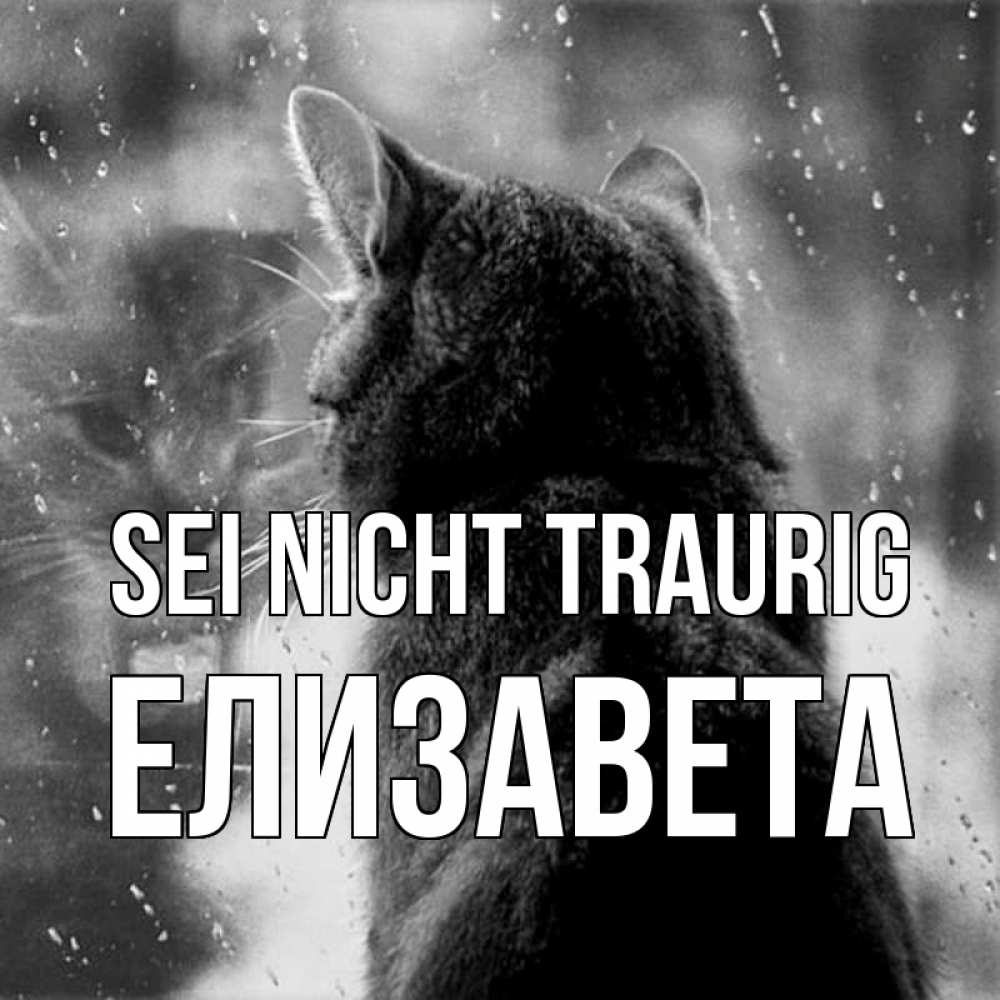 Открытка на каждый день с именем, Елизавета Sei nicht traurig отражение кота 1 Прикольная открытка с пожеланием онлайн скачать бесплатно 