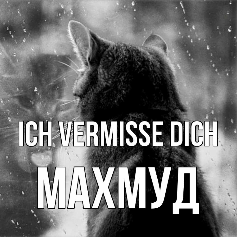 Открытка на каждый день с именем, Махмуд Ich vermisse dich скорее ко мне приходи 1 Прикольная открытка с пожеланием онлайн скачать бесплатно 