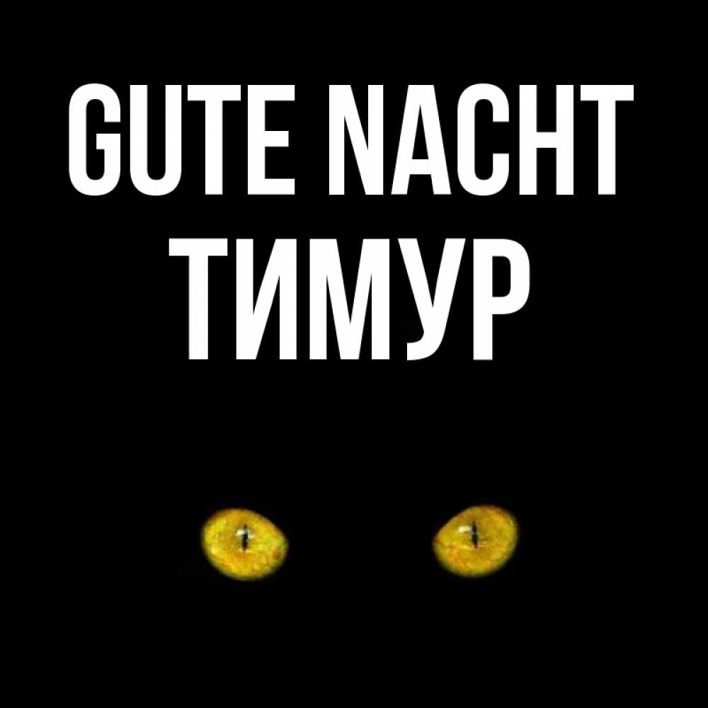 Открытка на каждый день с именем, Тимур Gute Nacht сладких снов бесстрашный мой дружочек Прикольная открытка с пожеланием онлайн скачать бесплатно 