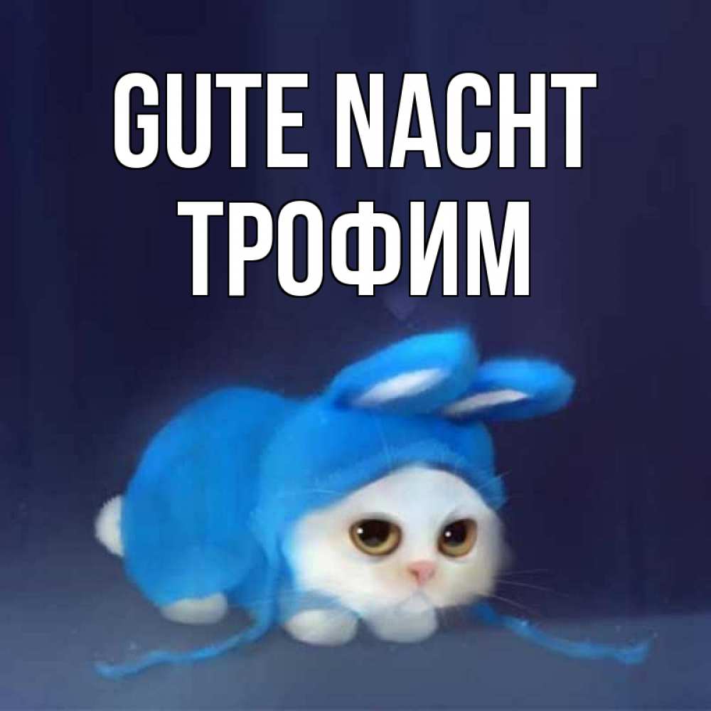 Открытка на каждый день с именем, Трофим Gute Nacht кот в голубом костюме кролика с ушками Прикольная открытка с пожеланием онлайн скачать бесплатно 