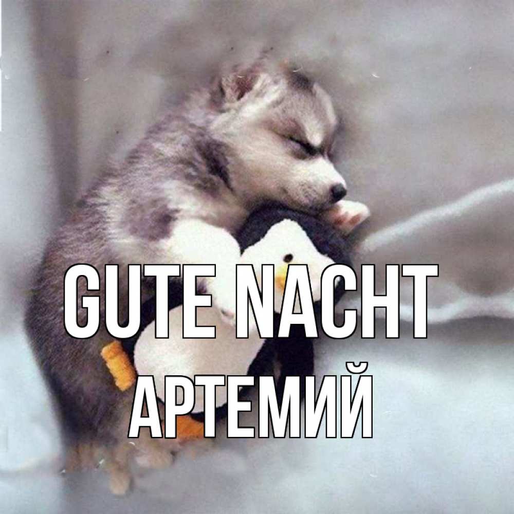 Открытка на каждый день с именем, Артемий Gute Nacht обнимашки щенка и пингвина Прикольная открытка с пожеланием онлайн скачать бесплатно 