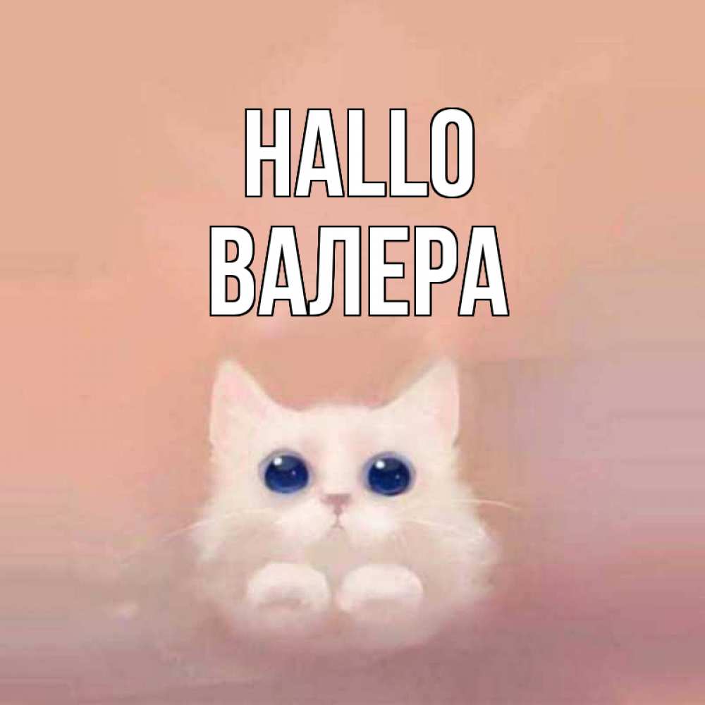 Открытка на каждый день с именем, Валера Hallo котик белый в полете Прикольная открытка с пожеланием онлайн скачать бесплатно 