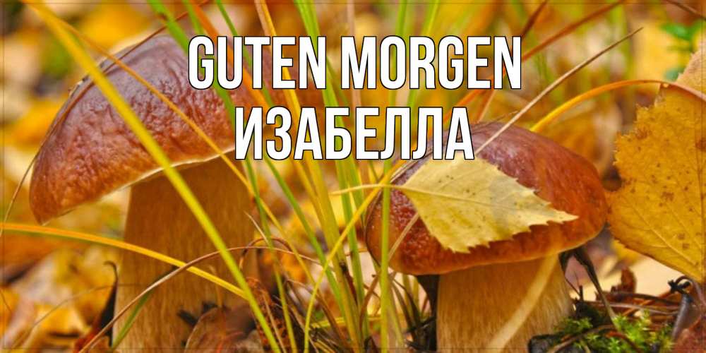Открытка на каждый день с именем, Изабелла Guten Morgen осенние грибы Прикольная открытка с пожеланием онлайн скачать бесплатно 
