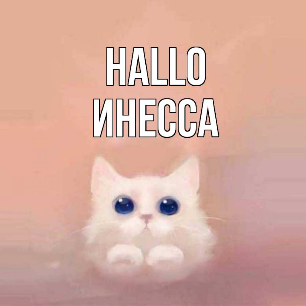 Открытка на каждый день с именем, Инесса Hallo котик белый в полете Прикольная открытка с пожеланием онлайн скачать бесплатно 