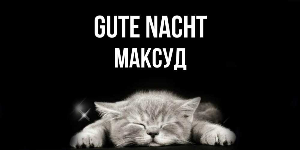 Открытка на каждый день с именем, Максуд Gute Nacht спящий котик Прикольная открытка с пожеланием онлайн скачать бесплатно 