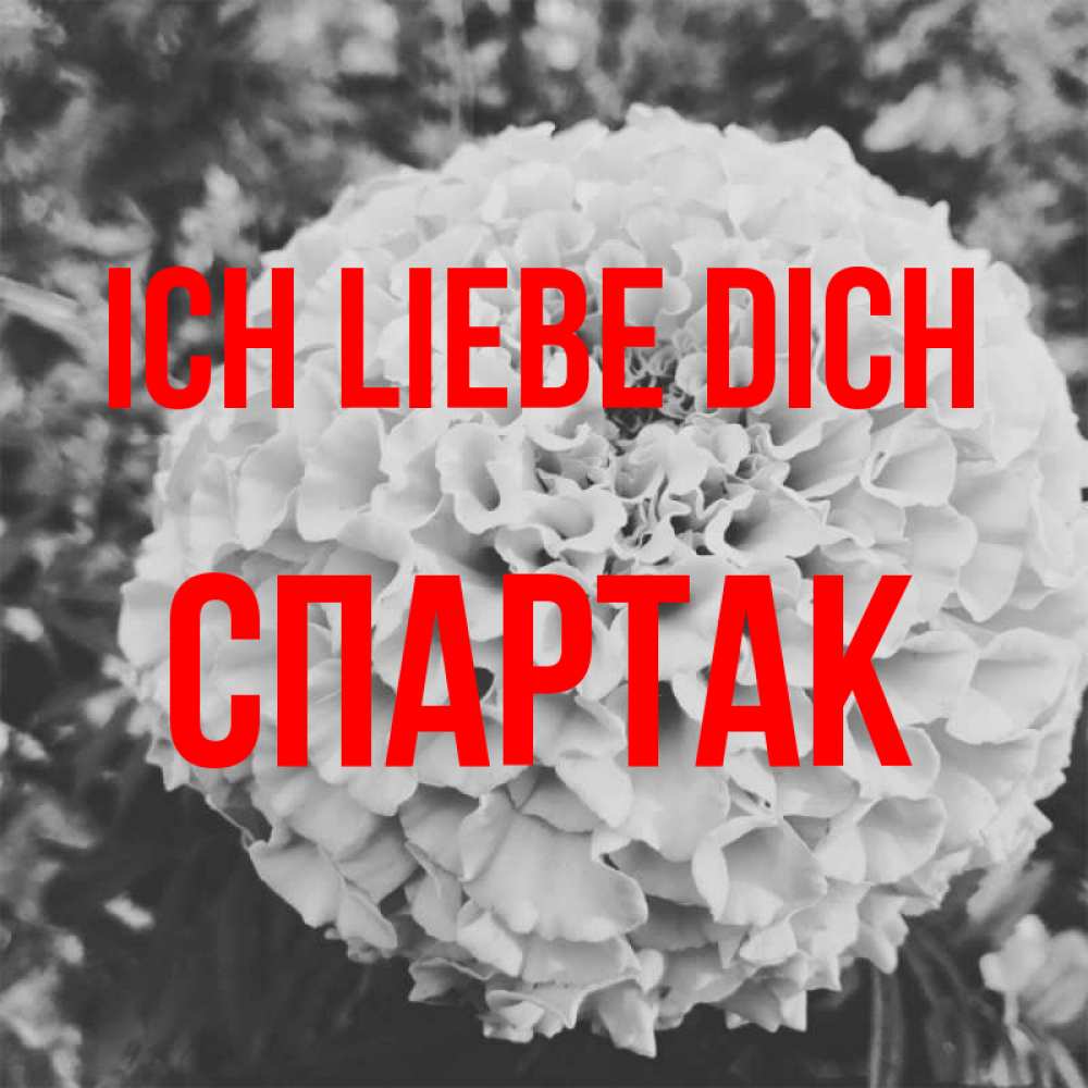Открытка на каждый день с именем, Спартак Ich liebe dich подпись Прикольная открытка с пожеланием онлайн скачать бесплатно 