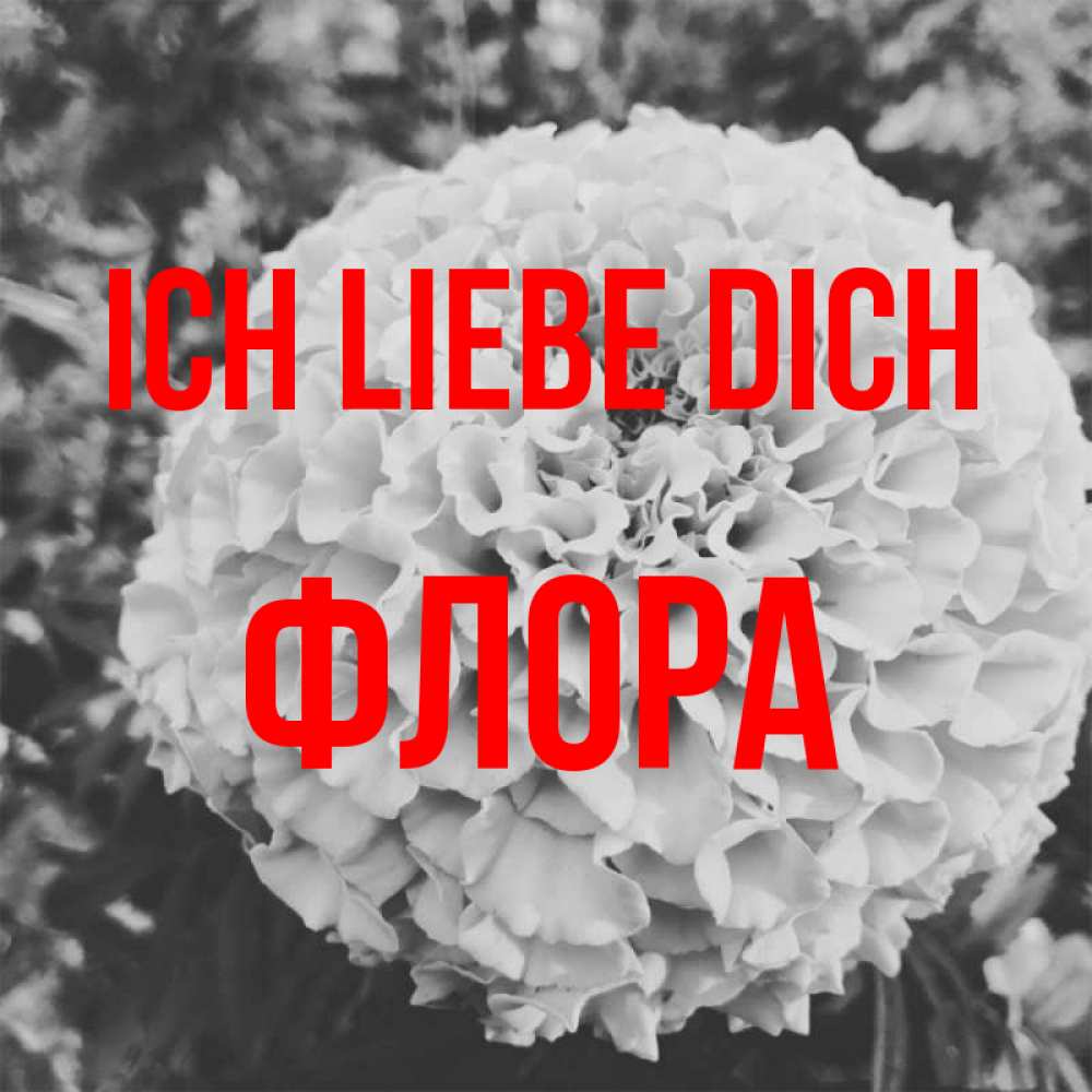 Открытка на каждый день с именем, Флора Ich liebe dich подпись Прикольная открытка с пожеланием онлайн скачать бесплатно 