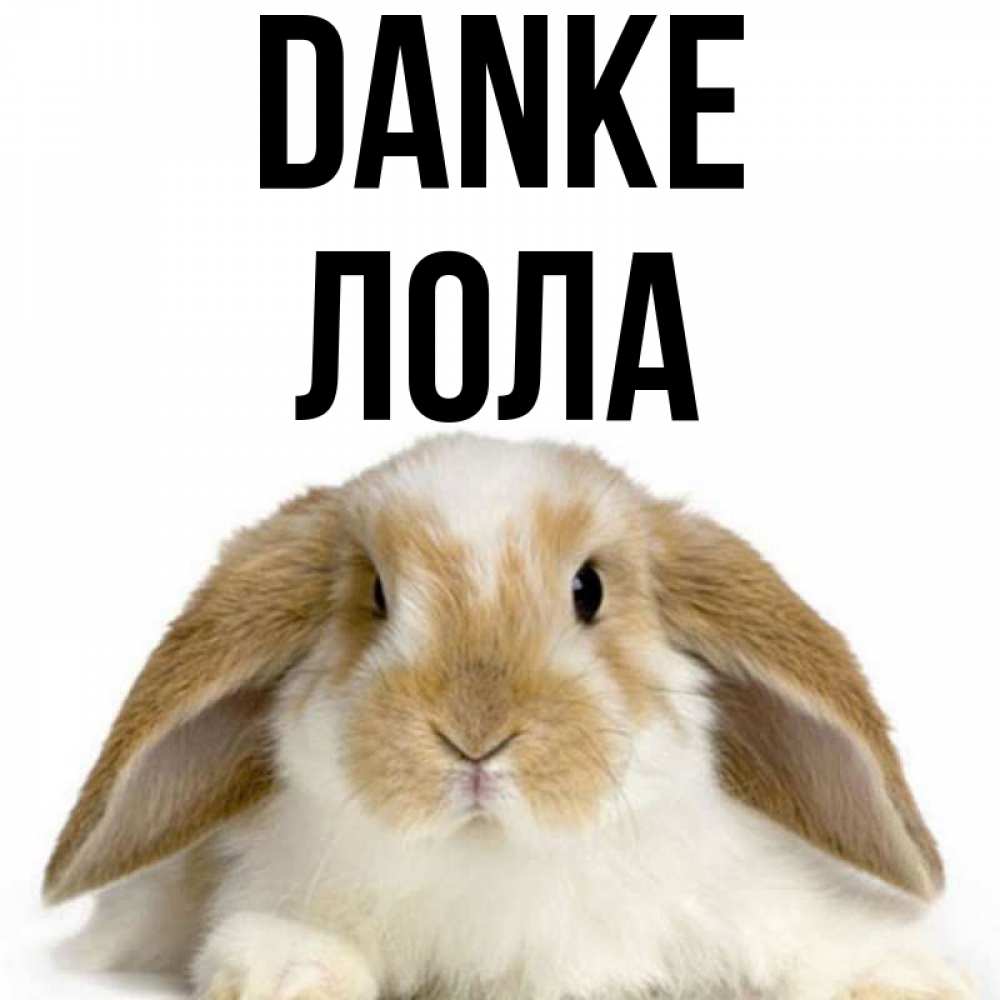 Открытка на каждый день с именем, Лола Danke коричнево белый заяц Прикольная открытка с пожеланием онлайн скачать бесплатно 