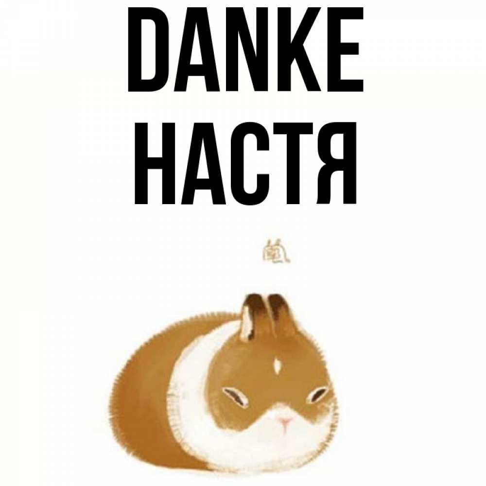 Открытка на каждый день с именем, Настя Danke коричнево белый домашний питомец Прикольная открытка с пожеланием онлайн скачать бесплатно 