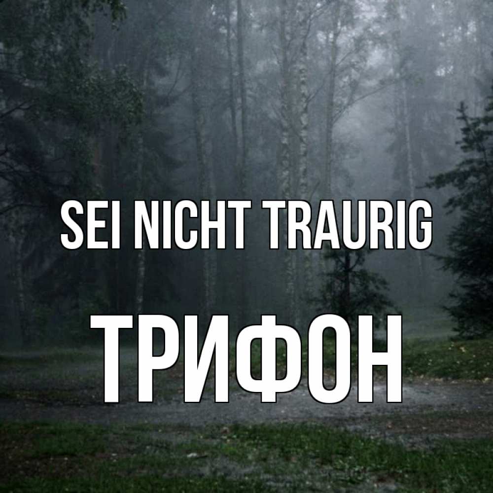Открытка на каждый день с именем, Трифон Sei nicht traurig осень Прикольная открытка с пожеланием онлайн скачать бесплатно 