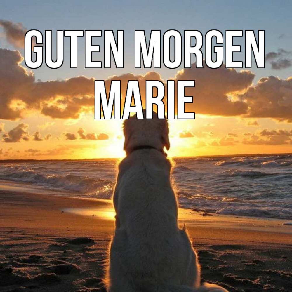 Открытка на каждый день с именем, Marie Guten Morgen восход солнца Прикольная открытка с пожеланием онлайн скачать бесплатно 